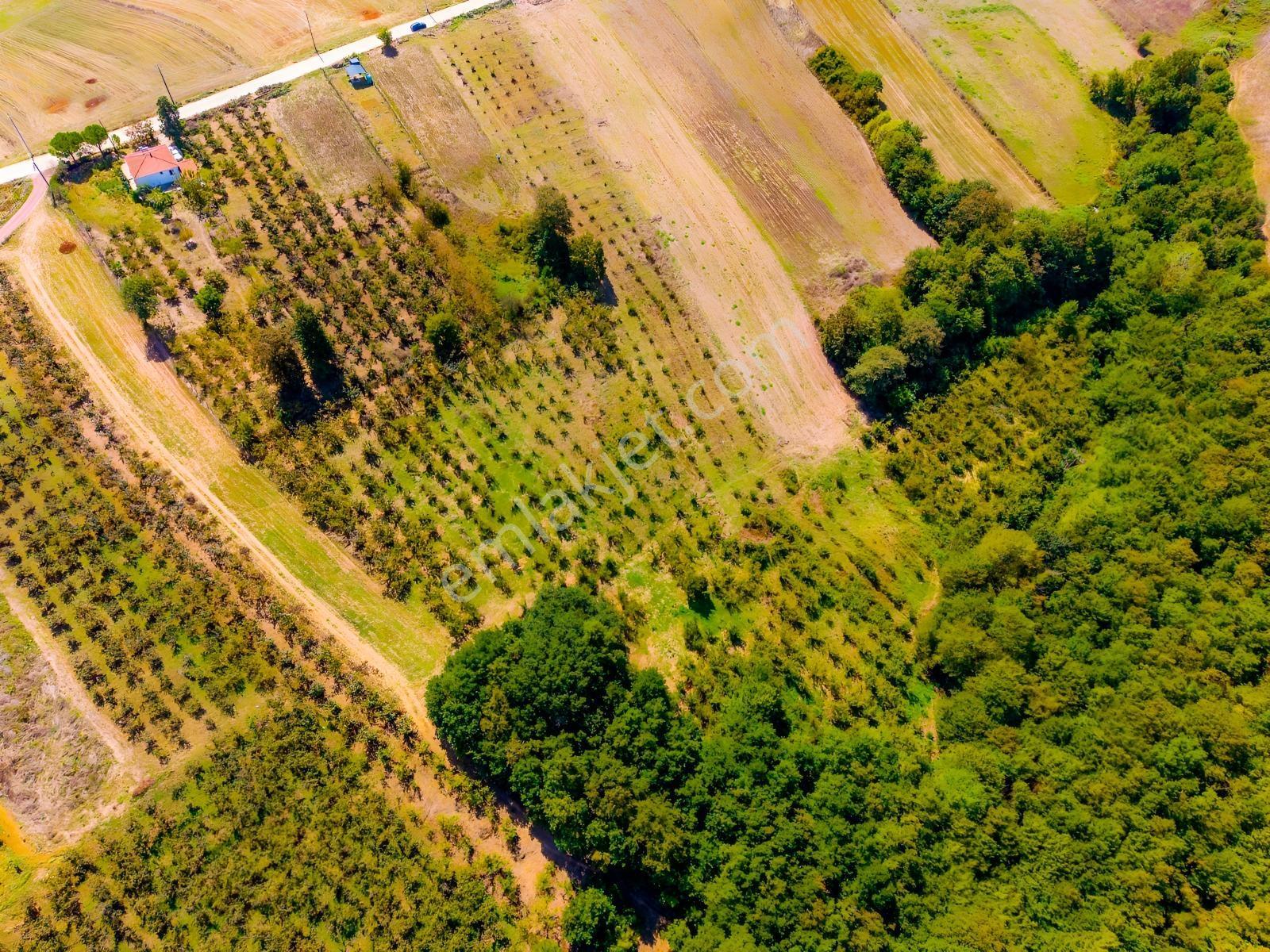 Kandıra Hüdaverdiler'de Asfalta 1 Parsel Yol Hakkı Olan 3.753m² — fotoğraf 12