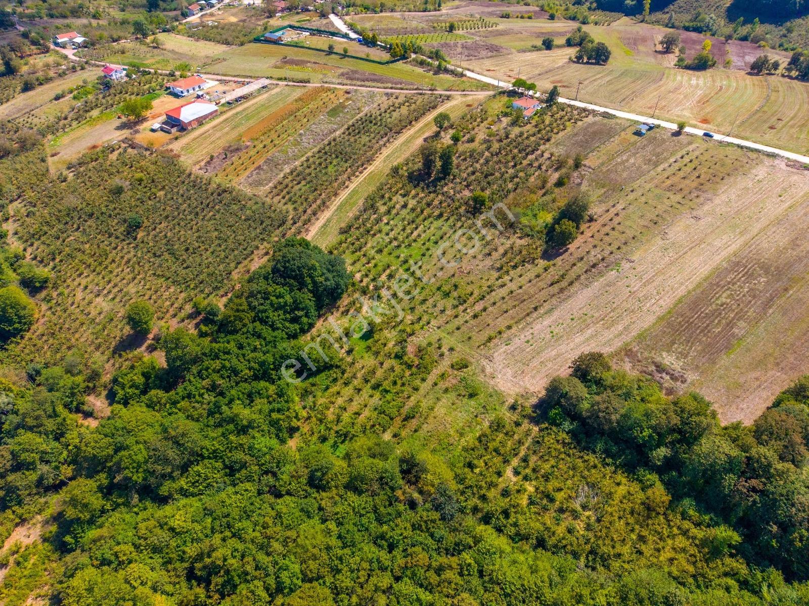 Kandıra Hüdaverdiler'de Asfalta 1 Parsel Yol Hakkı Olan 3.753m² — fotoğraf 14