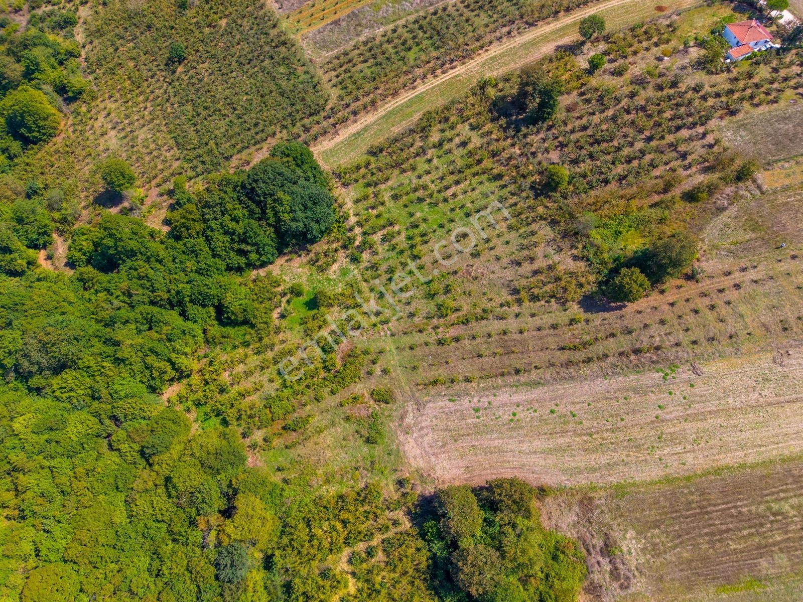 Kandıra Hüdaverdiler'de Asfalta 1 Parsel Yol Hakkı Olan 3.753m² — fotoğraf 15