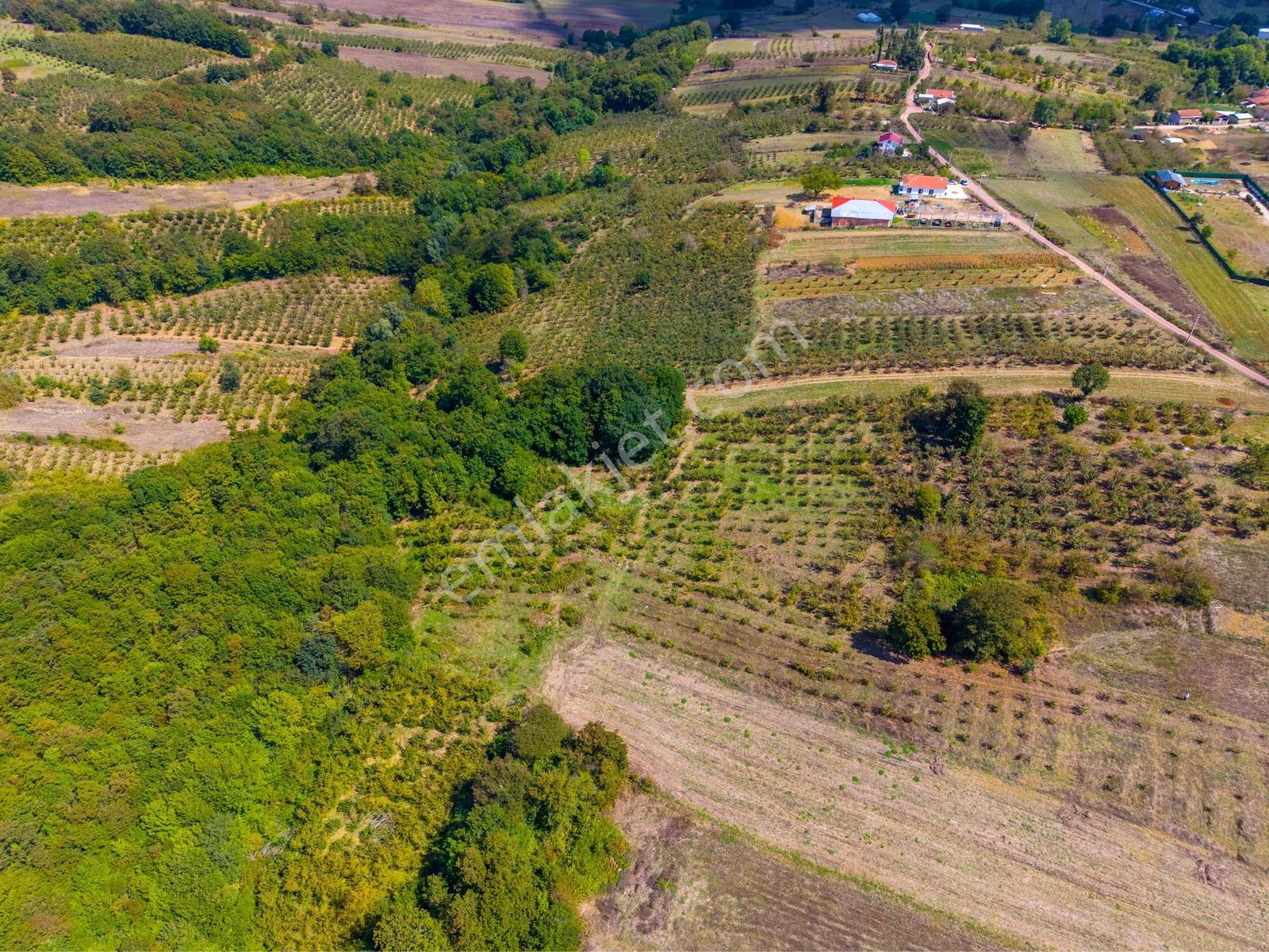 Kandıra Hüdaverdiler'de Asfalta 1 Parsel Yol Hakkı Olan 3.753m² — fotoğraf 16