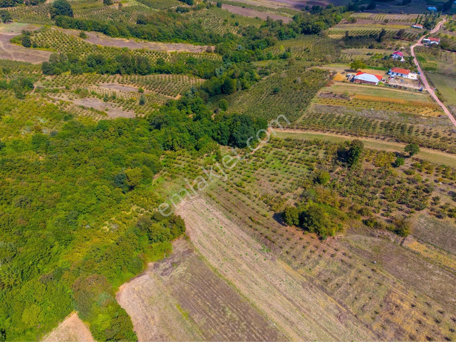 Kandıra Hüdaverdiler'de Asfalta 1 Parsel Yol Hakkı Olan 3.753m² — fotoğraf 17