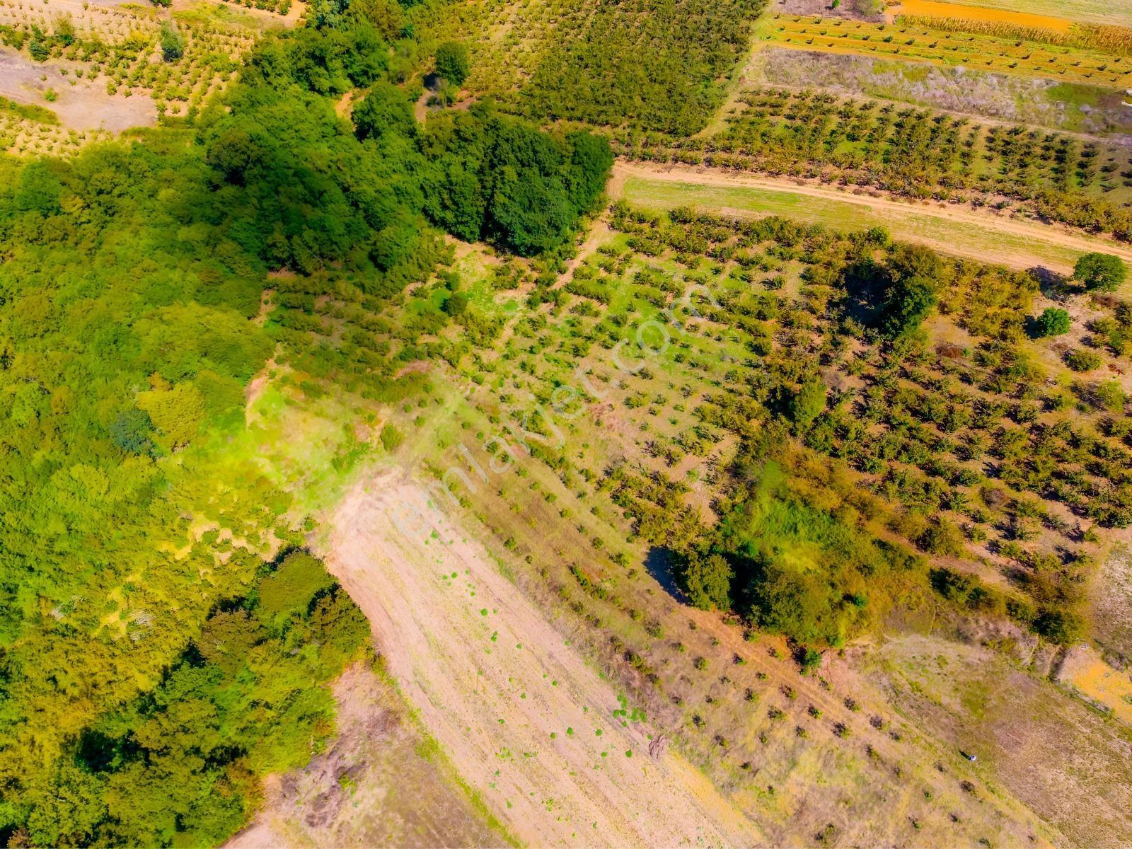 Kandıra Hüdaverdiler'de Asfalta 1 Parsel Yol Hakkı Olan 3.753m² — fotoğraf 18