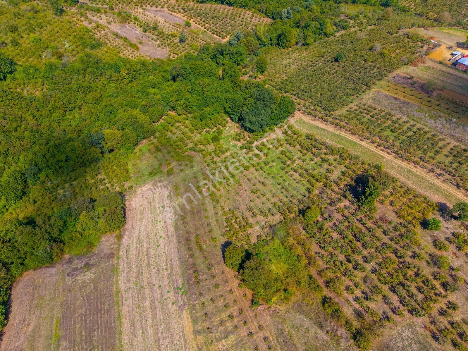 Kandıra Hüdaverdiler'de Asfalta 1 Parsel Yol Hakkı Olan 3.753m² — fotoğraf 19