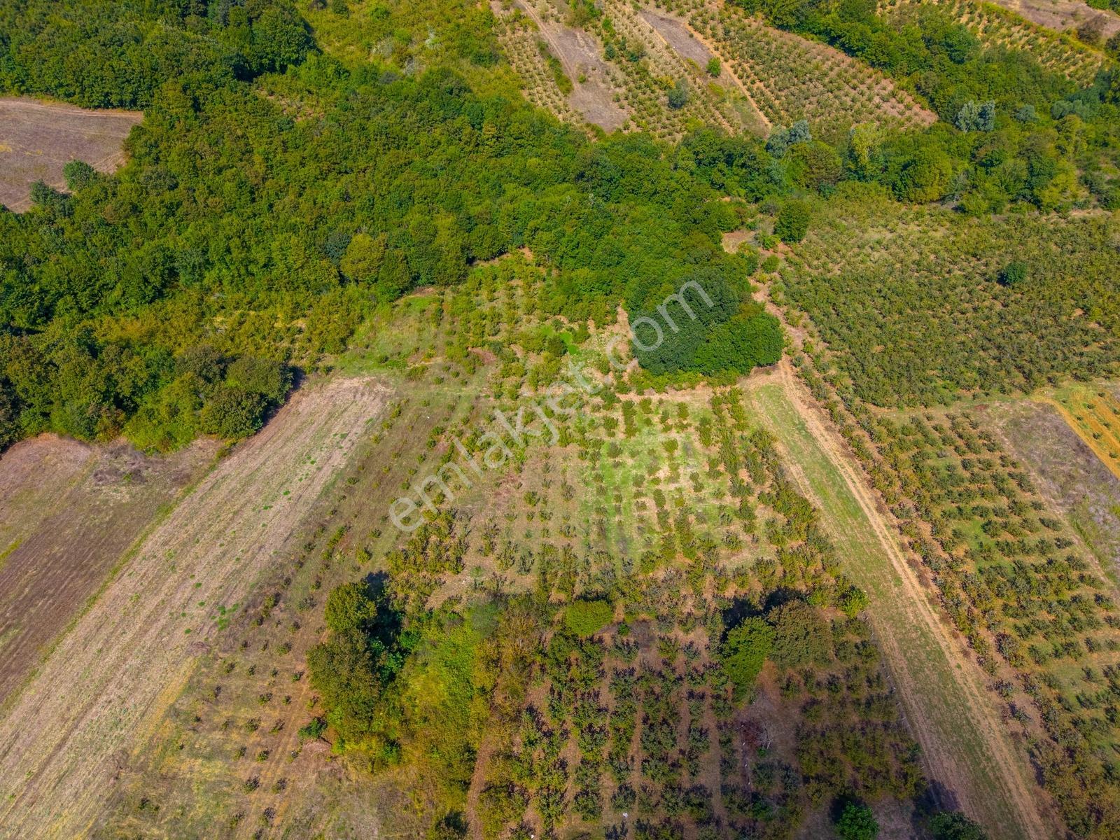 Kandıra Hüdaverdiler'de Asfalta 1 Parsel Yol Hakkı Olan 3.753m² — fotoğraf 20