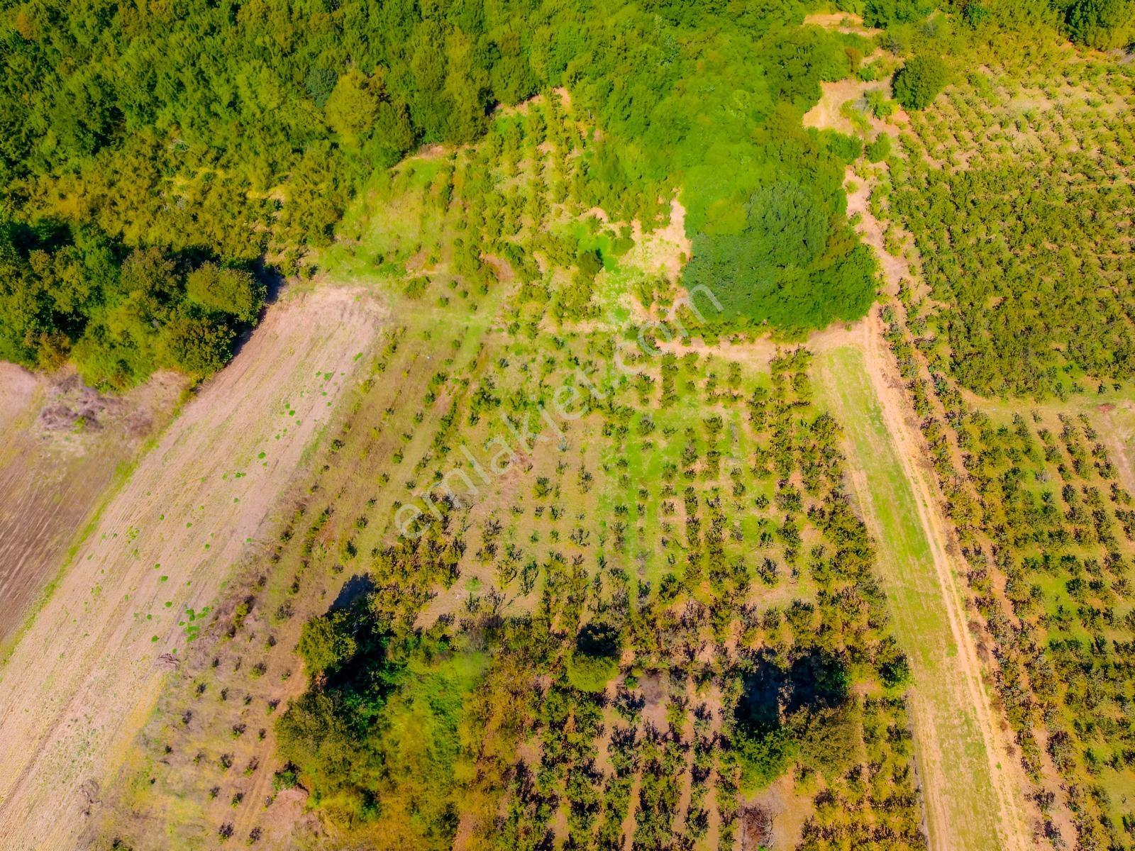 Kandıra Hüdaverdiler'de Asfalta 1 Parsel Yol Hakkı Olan 3.753m² — fotoğraf 21