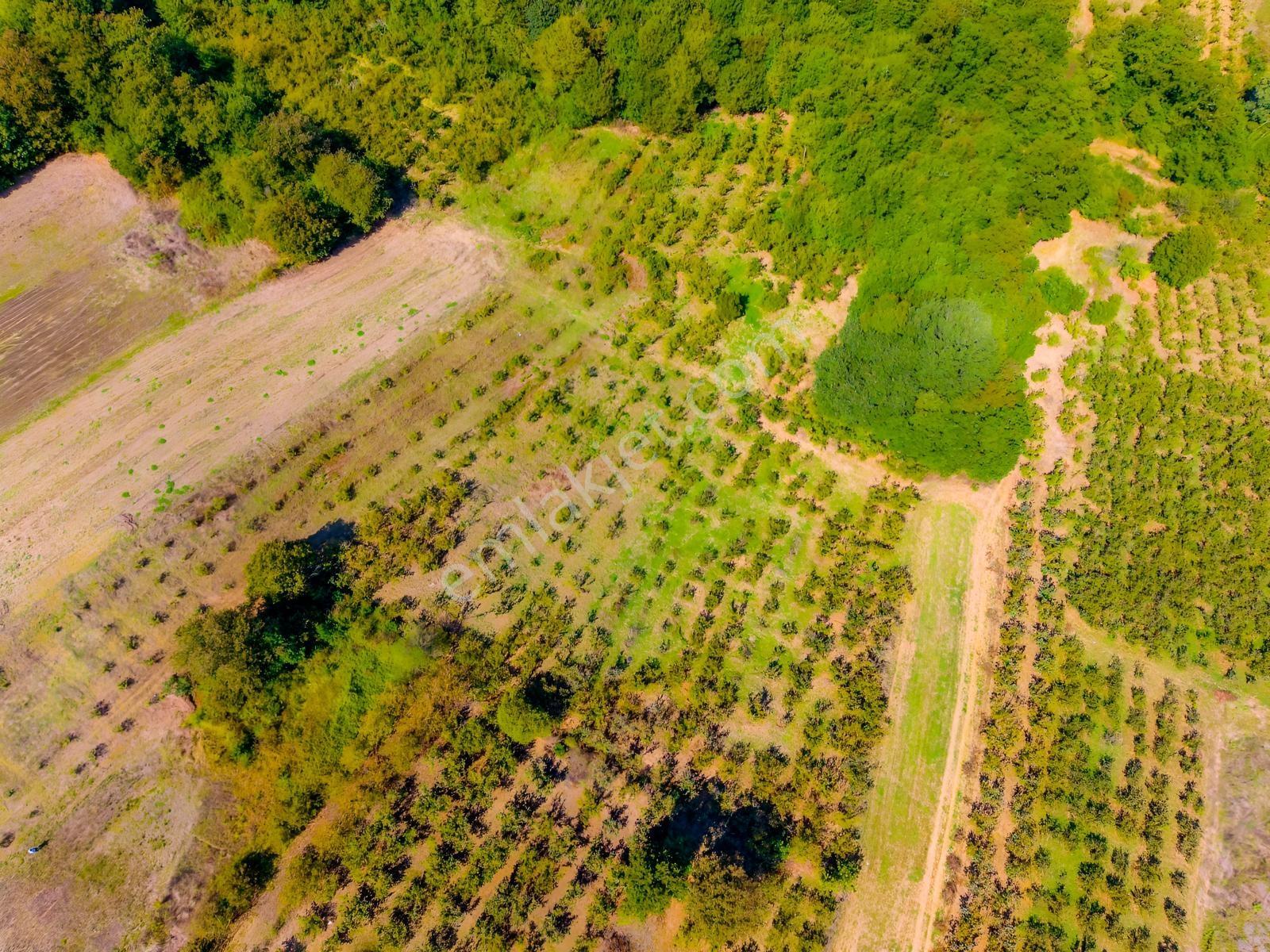 Kandıra Hüdaverdiler'de Asfalta 1 Parsel Yol Hakkı Olan 3.753m² — fotoğraf 22