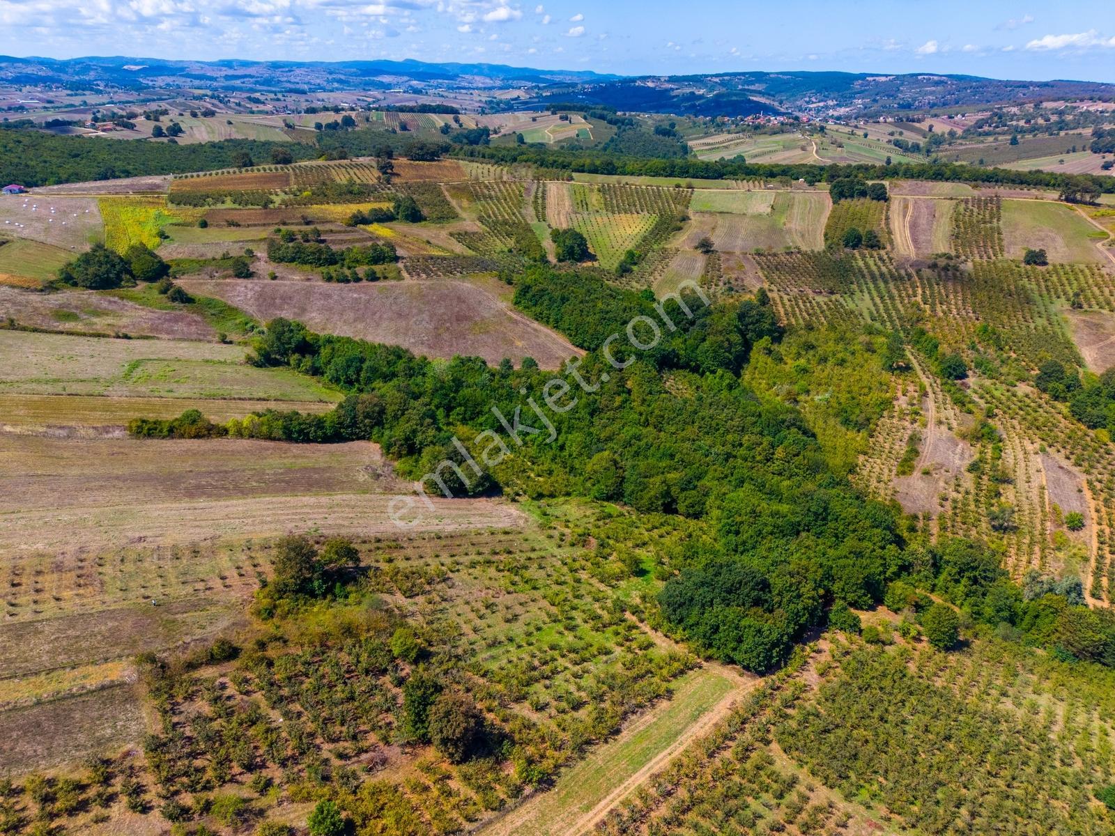 Kandıra Hüdaverdiler'de Asfalta 1 Parsel Yol Hakkı Olan 3.753m² — fotoğraf 23