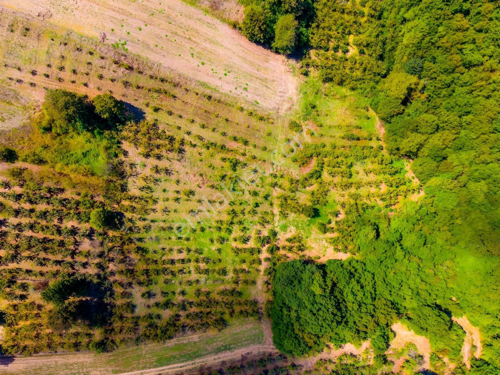 Kandıra Hüdaverdiler'de Asfalta 1 Parsel Yol Hakkı Olan 3.753m² — fotoğraf 24