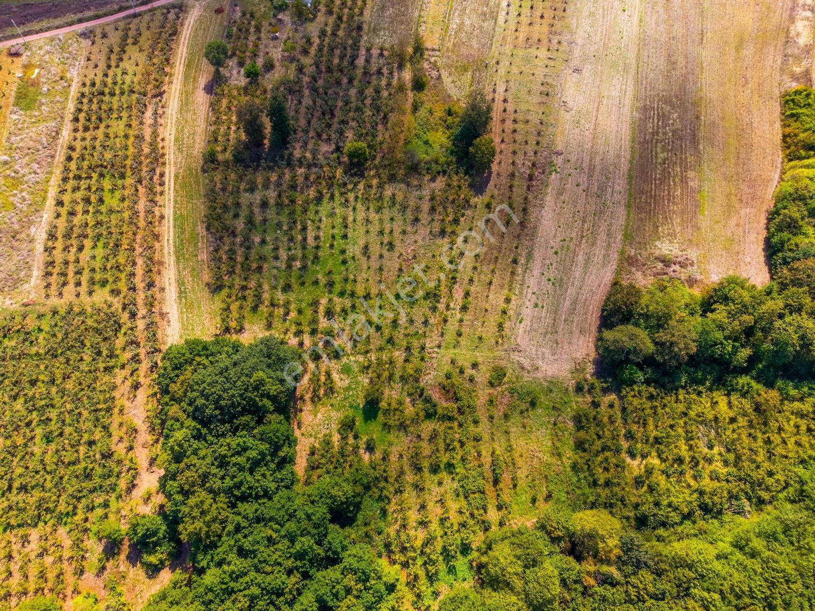 Kandıra Hüdaverdiler'de Asfalta 1 Parsel Yol Hakkı Olan 3.753m² — fotoğraf 25