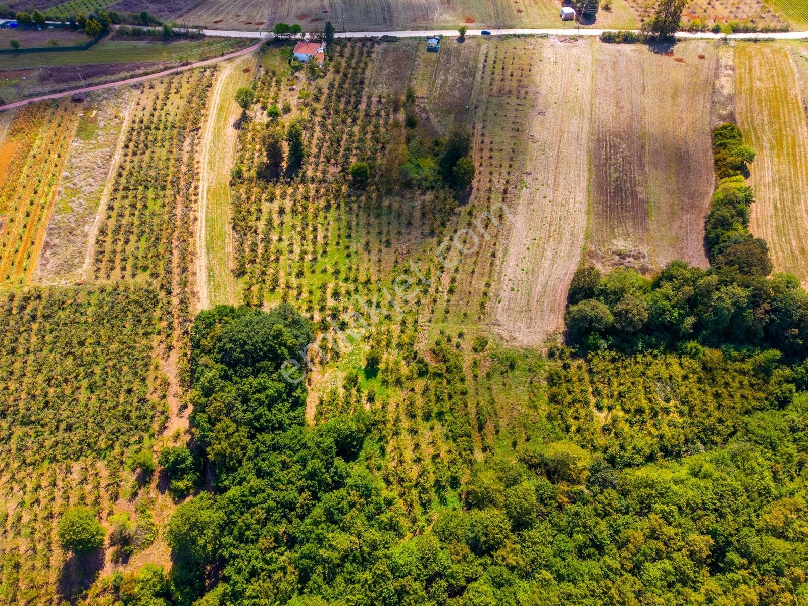 Kandıra Hüdaverdiler'de Asfalta 1 Parsel Yol Hakkı Olan 3.753m² — fotoğraf 26