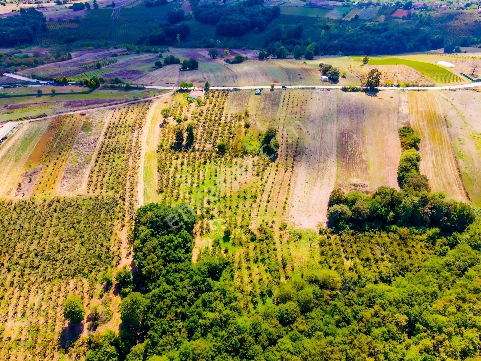 Kandıra Hüdaverdiler'de Asfalta 1 Parsel Yol Hakkı Olan 3.753m² — fotoğraf 27