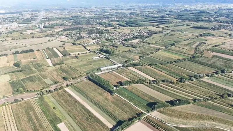 Yerleşime Yakın Fırsat Tarla — fotoğraf 2