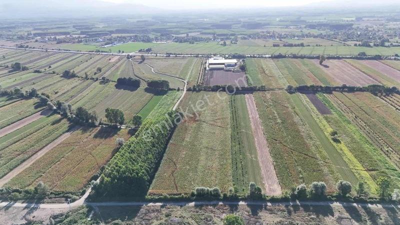Yerleşime Yakın Fırsat Tarla — fotoğraf 4