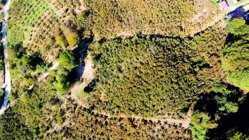 ️ 8 Parsel Satılık Arsa | ٨ قطع أراضٍ للبيع — fotoğraf 7