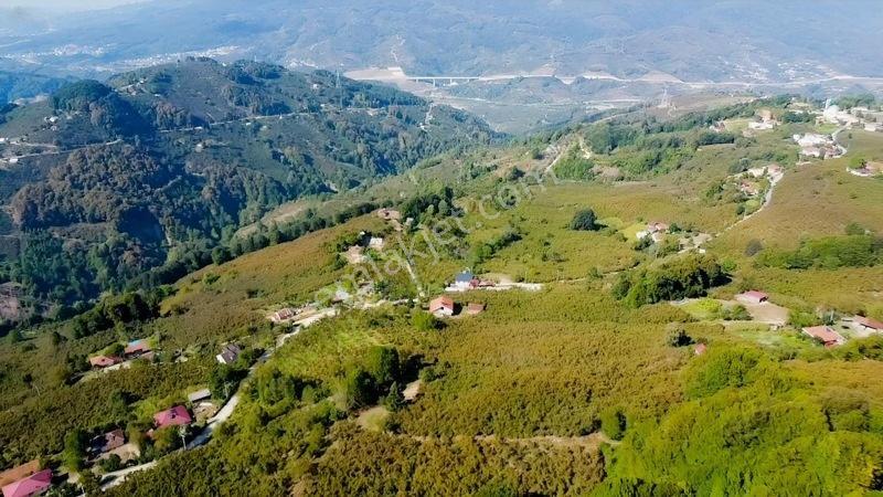 ️ 8 Parsel Satılık Arsa | ٨ قطع أراضٍ للبيع — fotoğraf 9