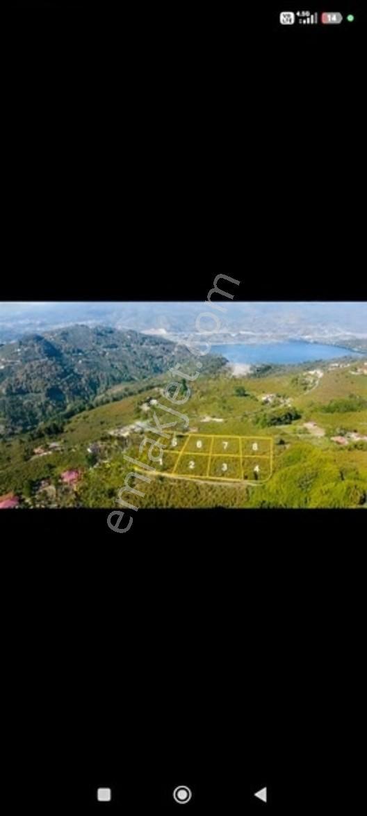 ️ 8 Parsel Satılık Arsa | ٨ قطع أراضٍ للبيع — fotoğraf 25