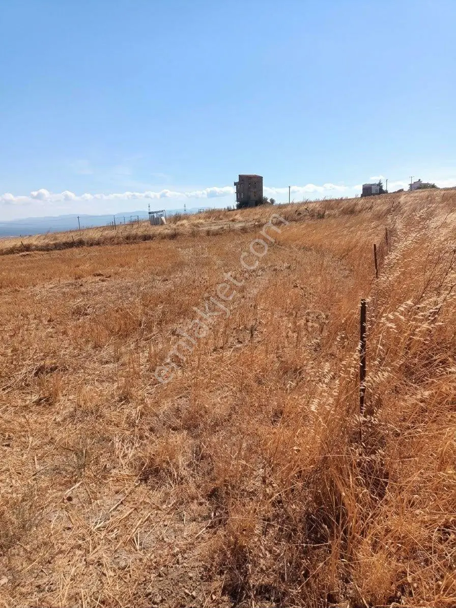 Çanakkale Gelibolu Balayır Mh.elektrik,su Haızr Arsamız Ve 2 Tarafından Yol Geçen Arsamız — fotoğraf 2