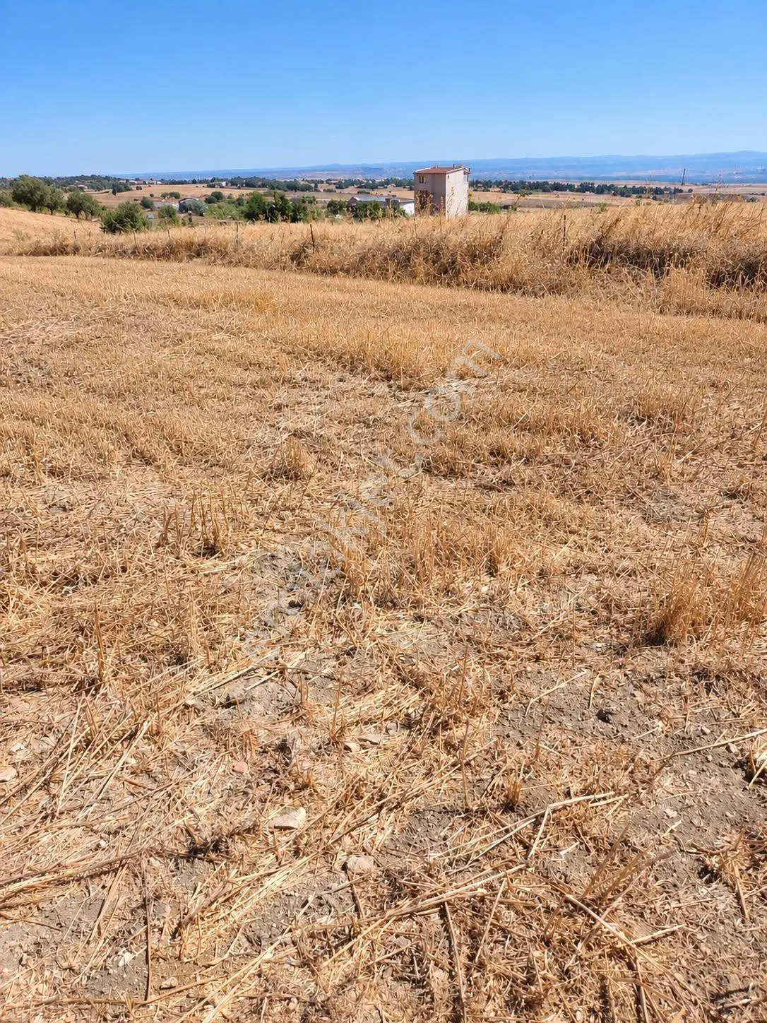 Çanakkale Gelibolu Balayır Mh.elektrik,su Haızr Arsamız Ve 2 Tarafından Yol Geçen Arsamız — fotoğraf 3