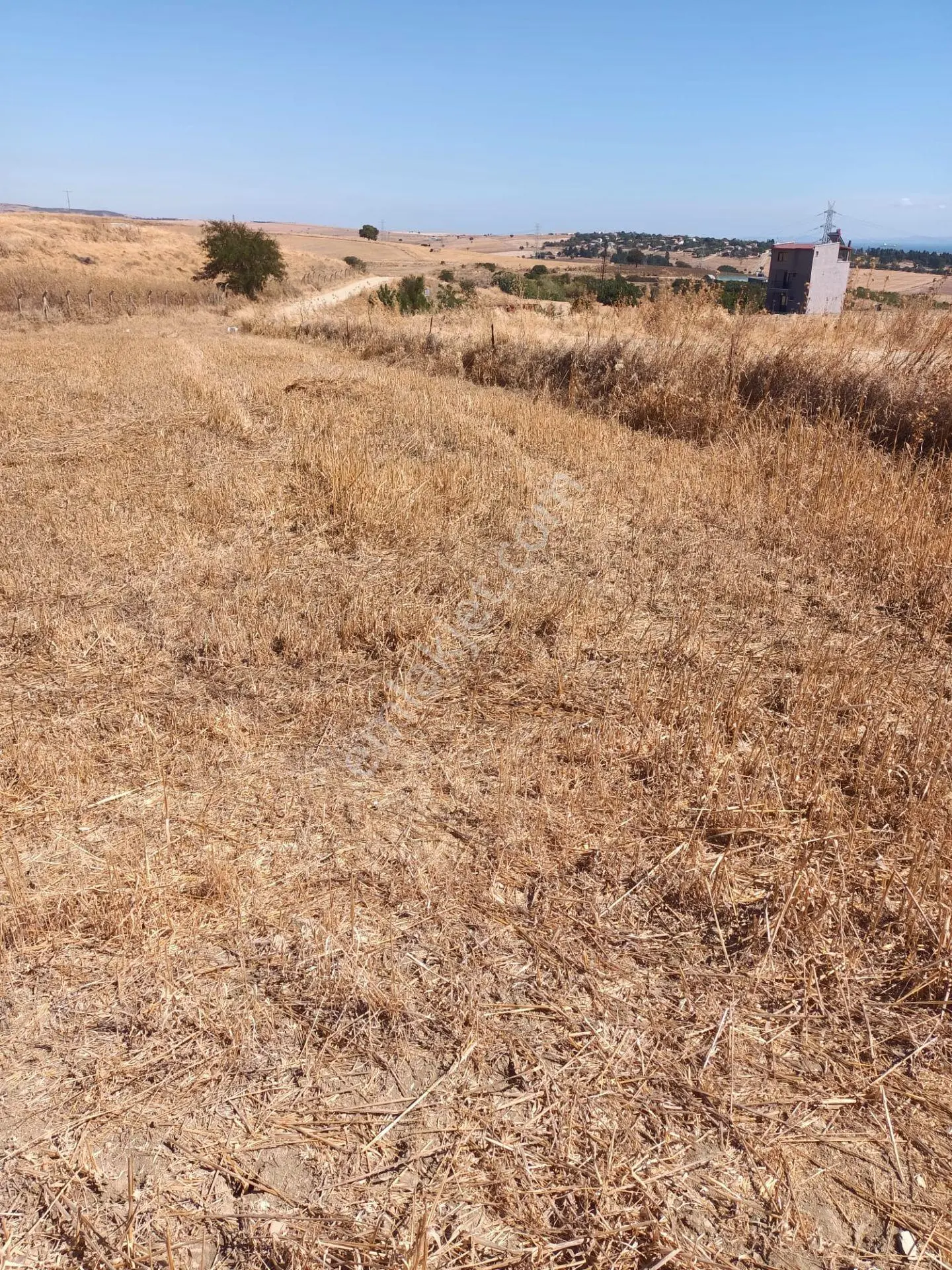 Çanakkale Gelibolu Balayır Mh.elektrik,su Haızr Arsamız Ve 2 Tarafından Yol Geçen Arsamız — fotoğraf 4