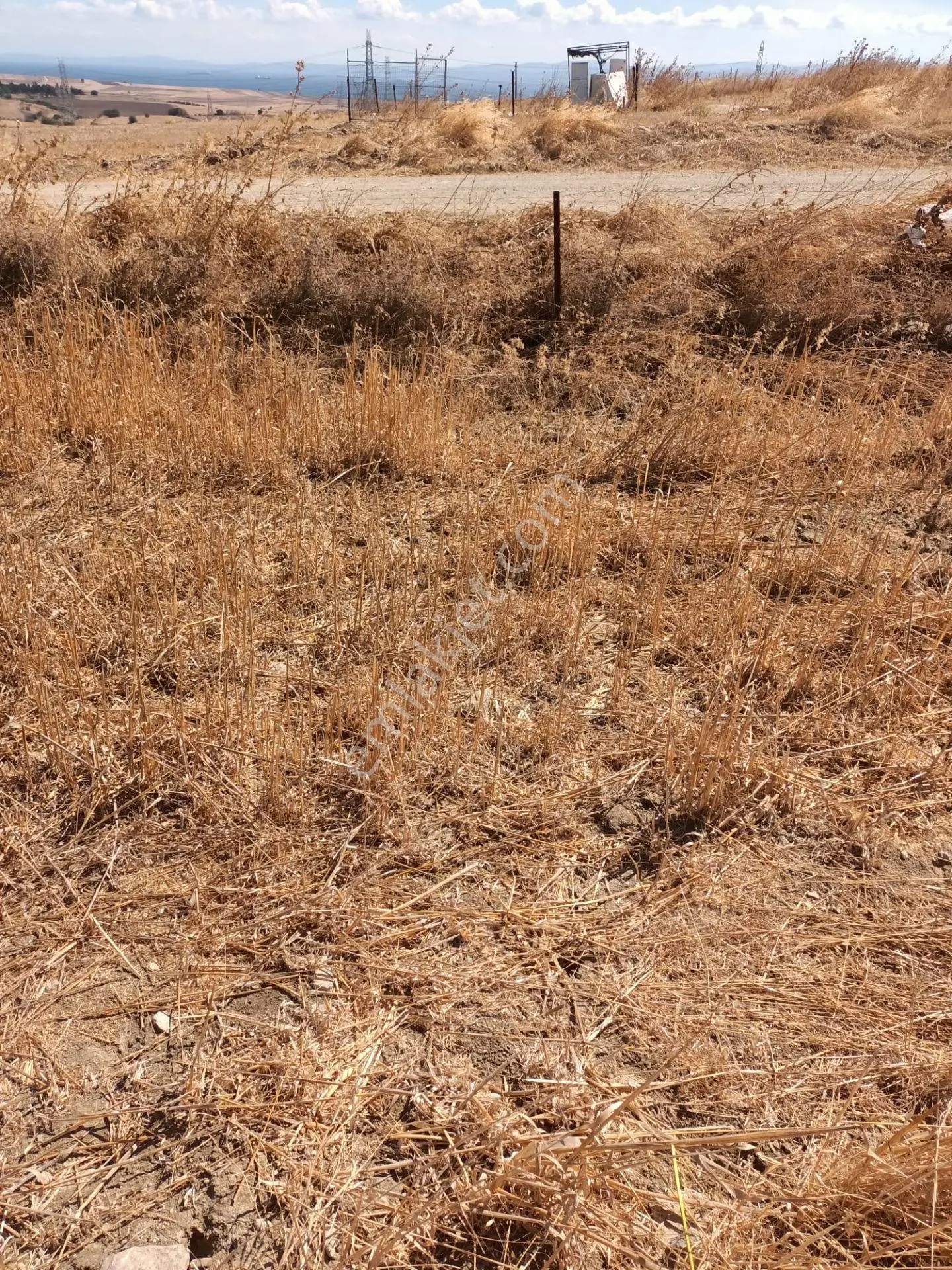 Çanakkale Gelibolu Balayır Mh.elektrik,su Haızr Arsamız Ve 2 Tarafından Yol Geçen Arsamız — fotoğraf 5
