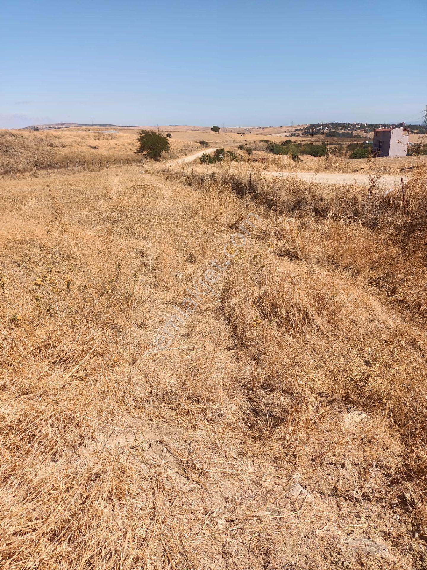 Çanakkale Gelibolu Balayır Mh.elektrik,su Haızr Arsamız Ve 2 Tarafından Yol Geçen Arsamız — fotoğraf 6