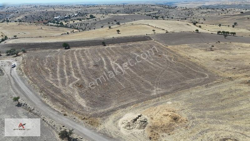 Beyşehir Eğirler Mahallesinde 12.979 M² Müstakil Tapulu Tarla — fotoğraf 5