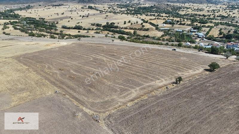Beyşehir Eğirler Mahallesinde 12.979 M² Müstakil Tapulu Tarla — fotoğraf 10