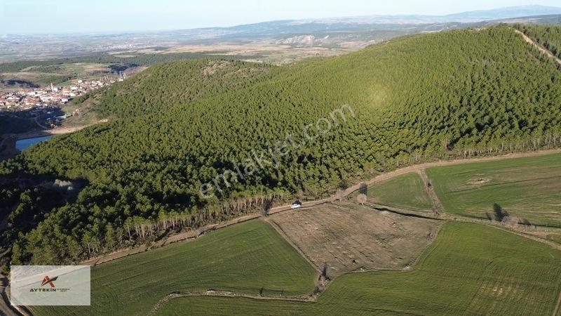 Doğanhisar Kemer Mahallesinde 3.852 M² Müstakil Meyve Bahçesi