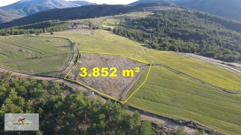 Doğanhisar Kemer Mahallesinde 3.852 M² Müstakil Meyve Bahçesi — fotoğraf 2