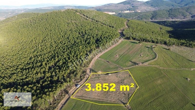 Doğanhisar Kemer Mahallesinde 3.852 M² Müstakil Meyve Bahçesi — fotoğraf 3