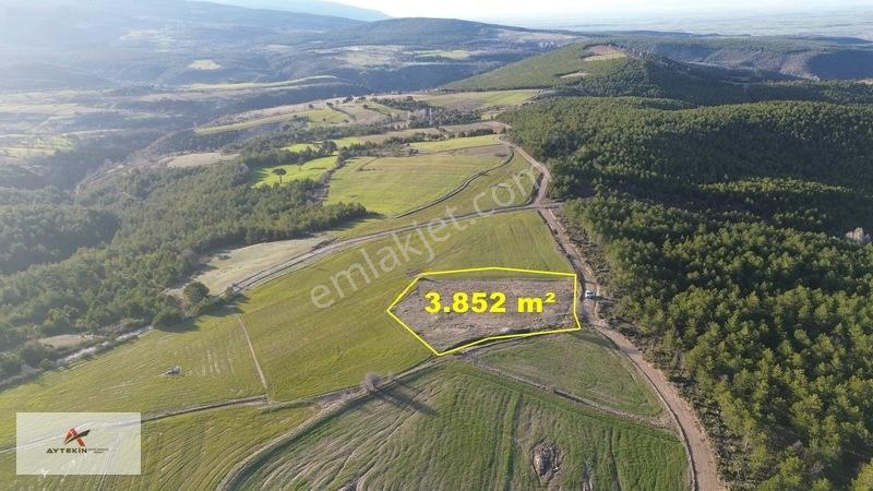 Doğanhisar Kemer Mahallesinde 3.852 M² Müstakil Meyve Bahçesi — fotoğraf 5