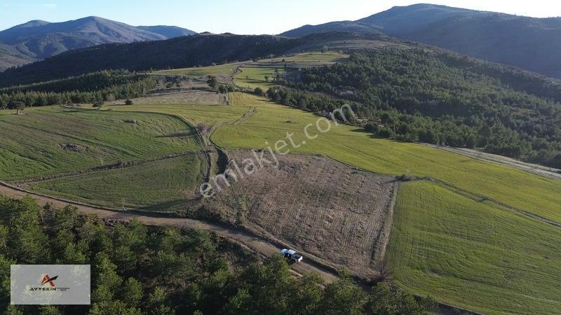 Doğanhisar Kemer Mahallesinde 3.852 M² Müstakil Meyve Bahçesi — fotoğraf 6
