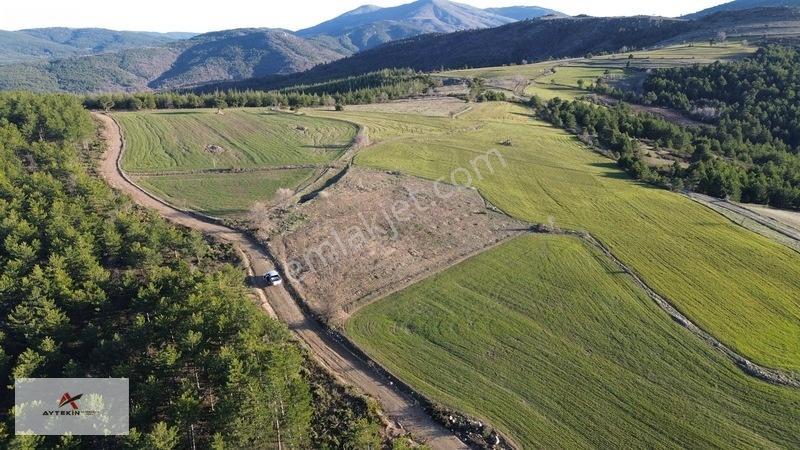 Doğanhisar Kemer Mahallesinde 3.852 M² Müstakil Meyve Bahçesi — fotoğraf 7