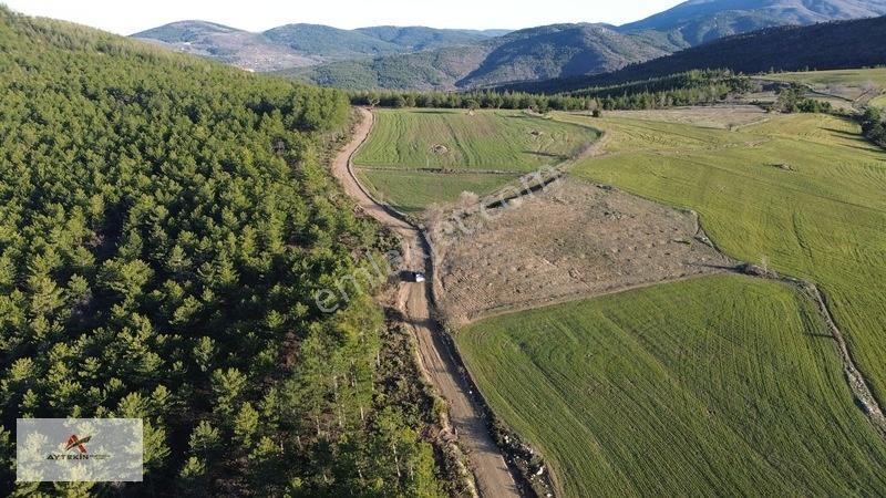 Doğanhisar Kemer Mahallesinde 3.852 M² Müstakil Meyve Bahçesi — fotoğraf 8