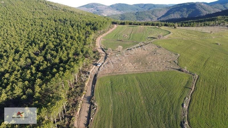 Doğanhisar Kemer Mahallesinde 3.852 M² Müstakil Meyve Bahçesi — fotoğraf 9