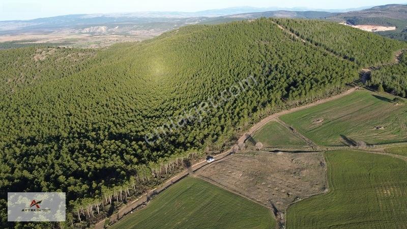 Doğanhisar Kemer Mahallesinde 3.852 M² Müstakil Meyve Bahçesi — fotoğraf 10