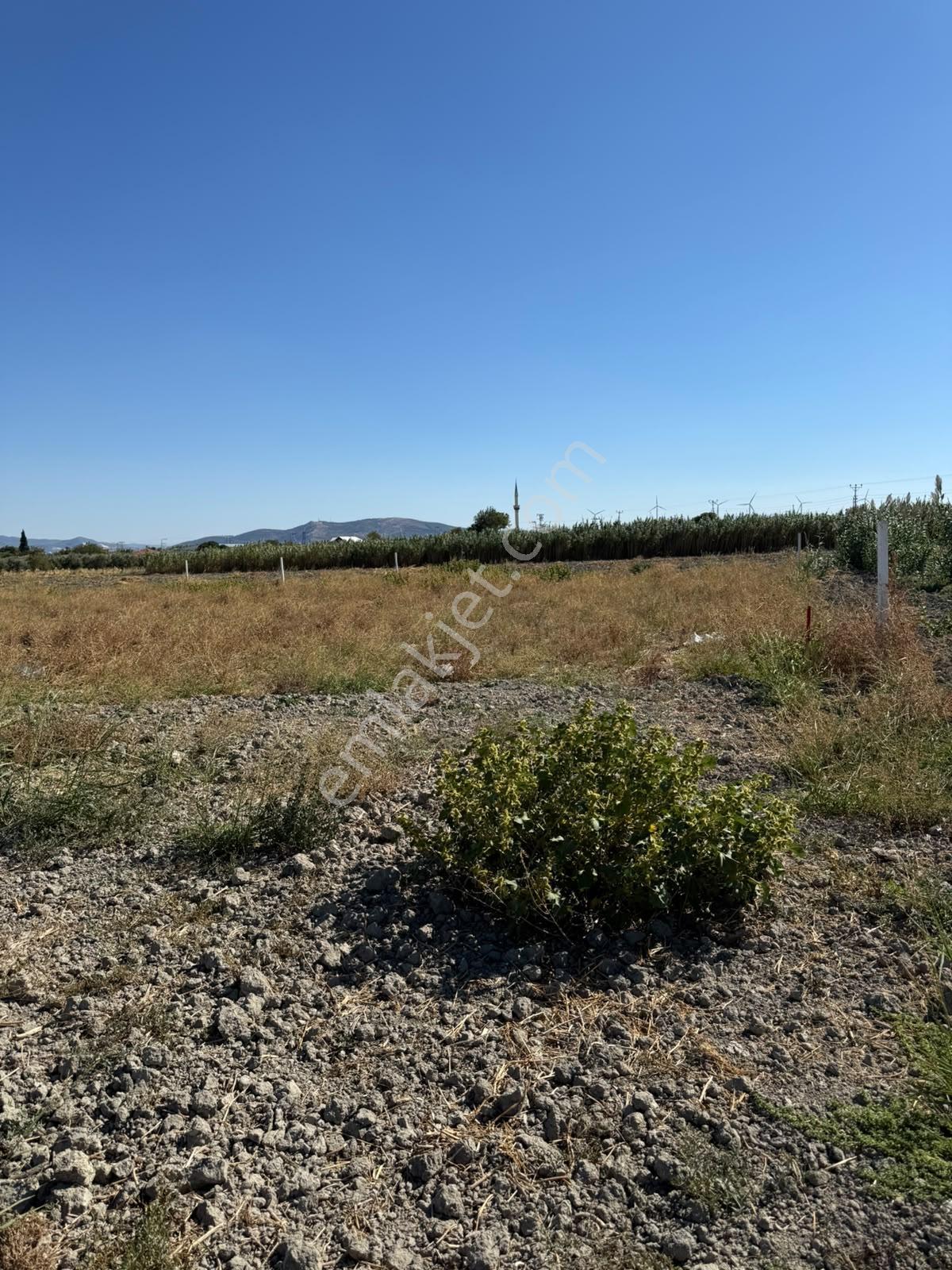 Uzun Emlak'tan Akhisar Eroğlu'da 2250 M2 Tarla ( Acil Satılık ) — fotoğraf 4