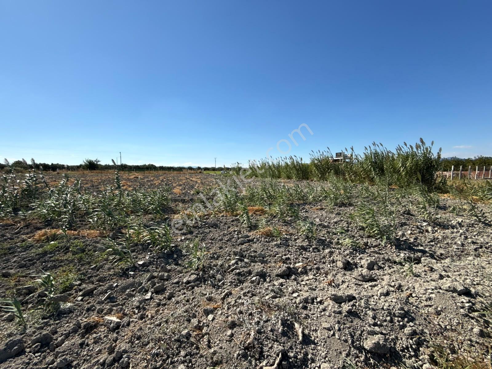 Uzun Emlak'tan Akhisar Eroğlu'da 2250 M2 Tarla ( Acil Satılık ) — fotoğraf 6