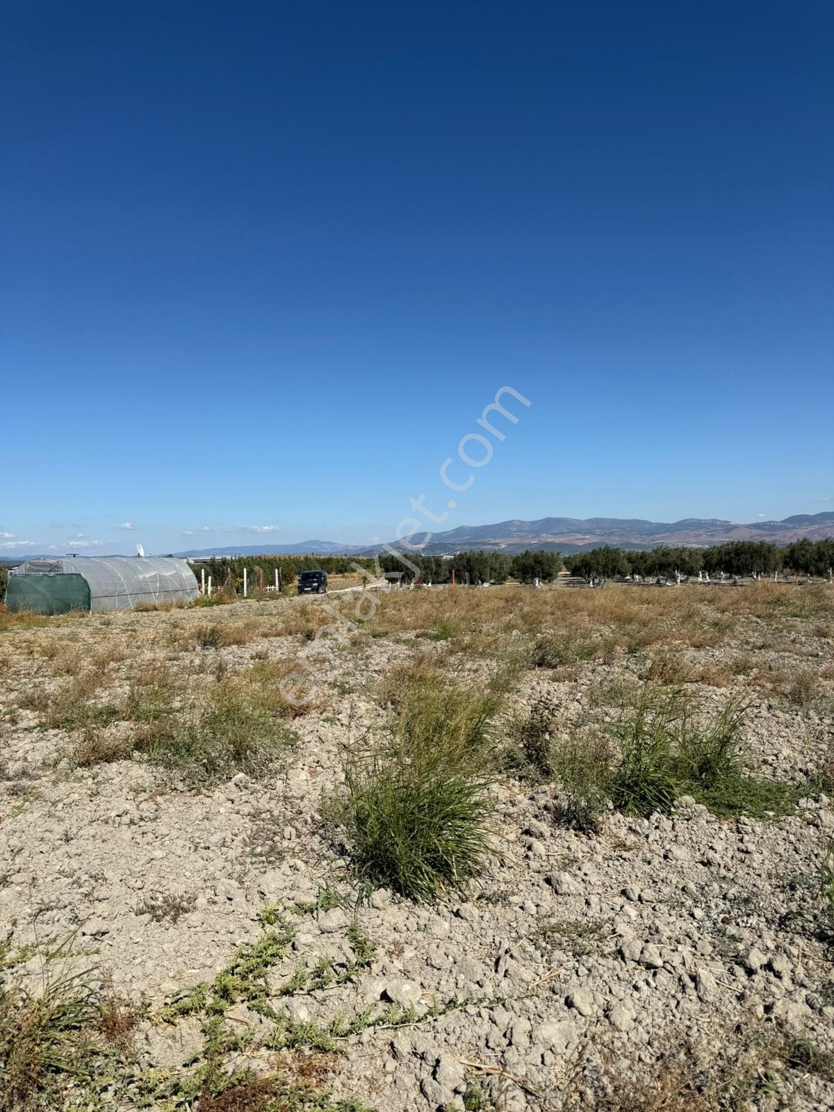 Uzun Emlak'tan Akhisar Eroğlu'da 2250 M2 Tarla ( Acil Satılık ) — fotoğraf 7