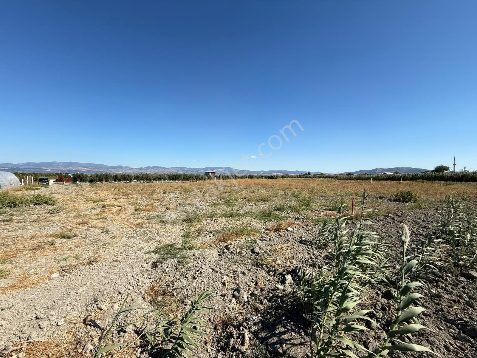 Uzun Emlak'tan Akhisar Eroğlu'da 2250 M2 Tarla ( Acil Satılık ) — fotoğraf 9