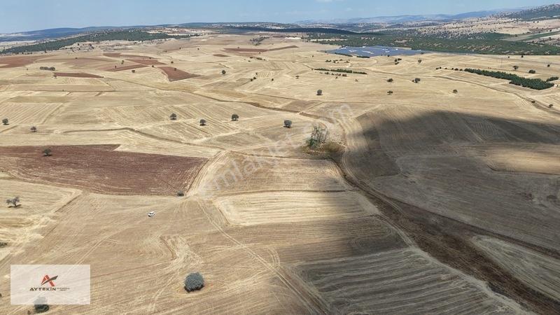 Beyşehir Yenidoğan Mahallesinde 10.202 M² Müstakil Tapulu Tarla