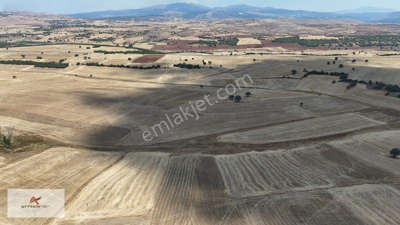 Beyşehir Yenidoğan Mahallesinde 10.202 M² Müstakil Tapulu Tarla — fotoğraf 3