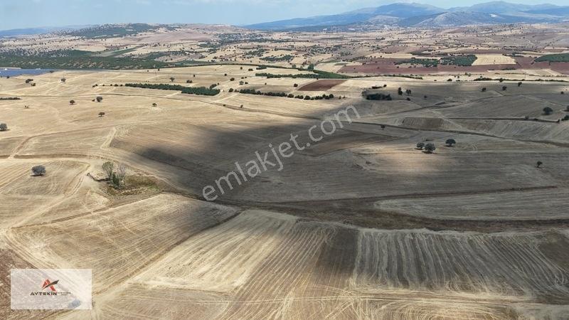 Beyşehir Yenidoğan Mahallesinde 10.202 M² Müstakil Tapulu Tarla — fotoğraf 4