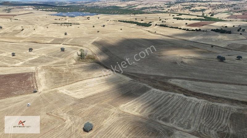 Beyşehir Yenidoğan Mahallesinde 10.202 M² Müstakil Tapulu Tarla — fotoğraf 5