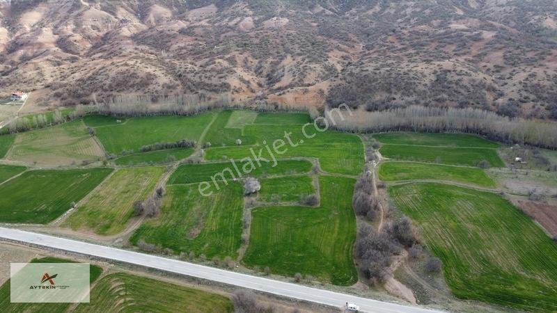 Meram Güneydere Mahallesinde 5.600 M² Müstakil Tapulu Tarla