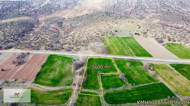 Meram Güneydere Mahallesinde 5.600 M² Müstakil Tapulu Tarla — fotoğraf 4