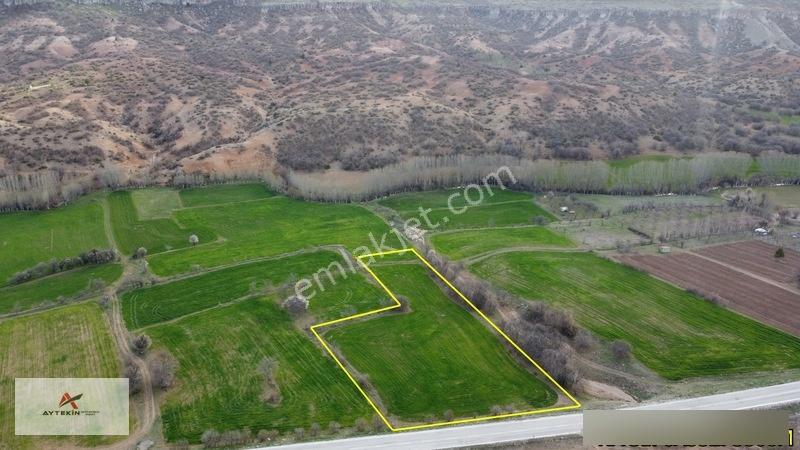 Meram Güneydere Mahallesinde 5.600 M² Müstakil Tapulu Tarla — fotoğraf 9