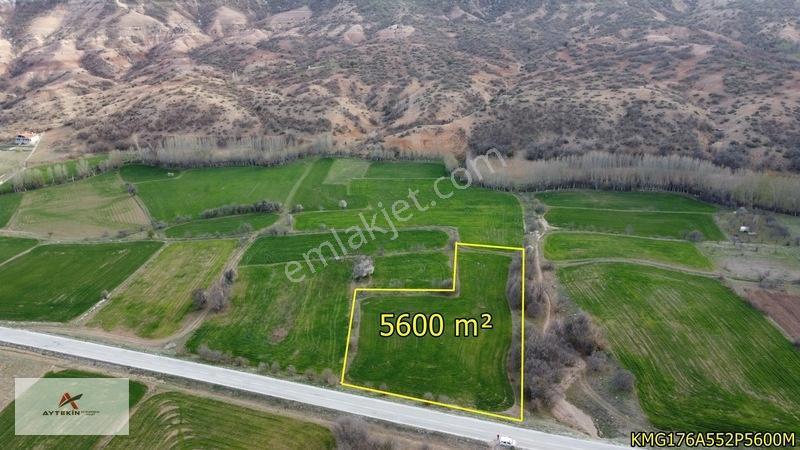 Meram Güneydere Mahallesinde 5.600 M² Müstakil Tapulu Tarla — fotoğraf 10