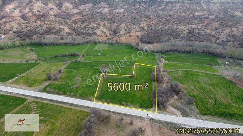 Meram Güneydere Mahallesinde 5.600 M² Müstakil Tapulu Tarla — fotoğraf 11
