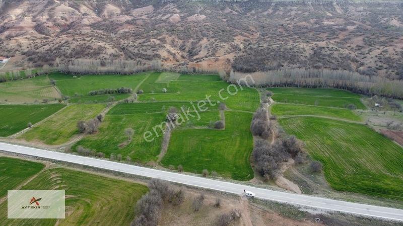 Meram Güneydere Mahallesinde 5.600 M² Müstakil Tapulu Tarla — fotoğraf 12